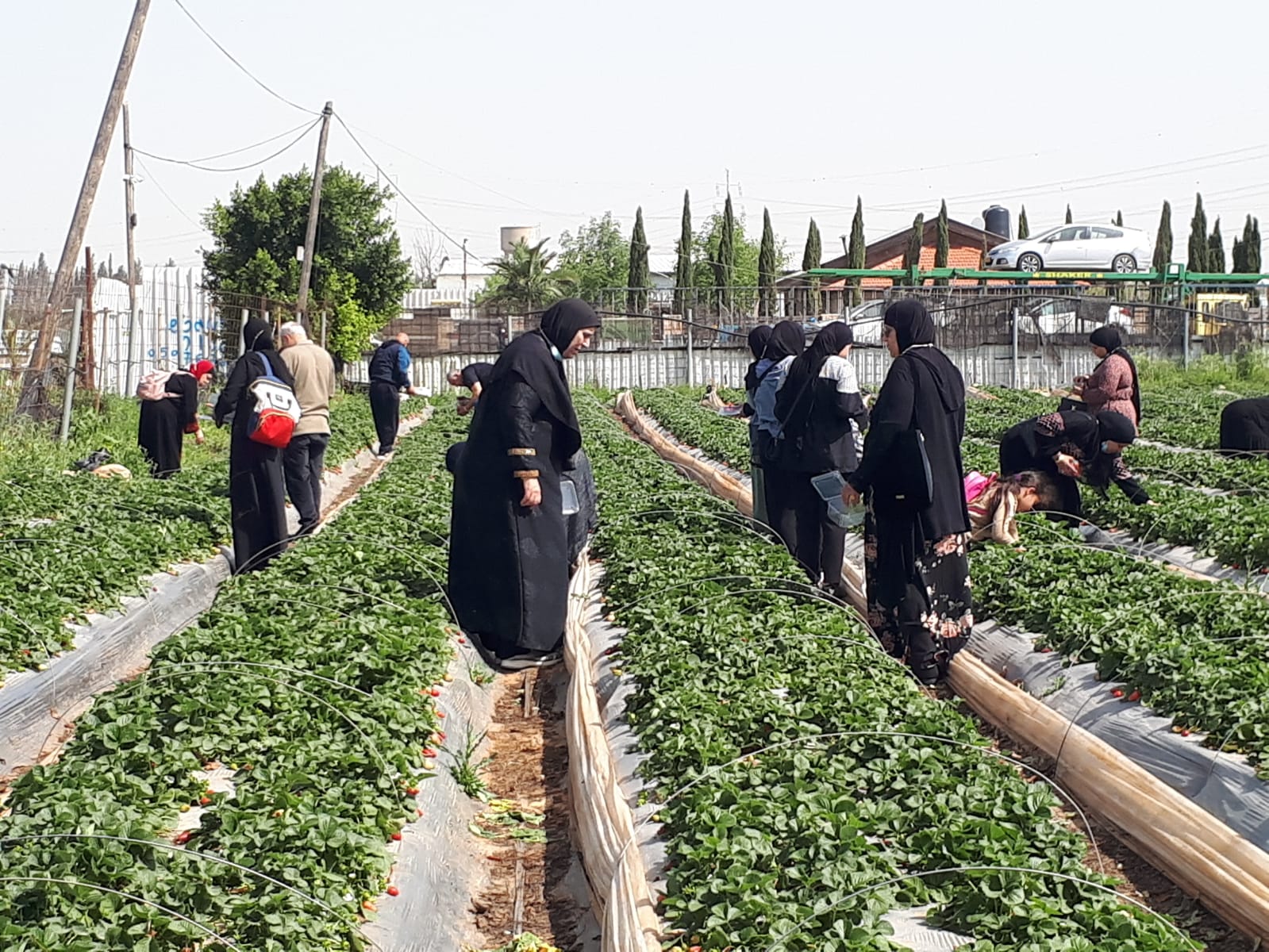 WhatsApp Image 2021-04-11 at 11.52.30 AM (1).jpeg